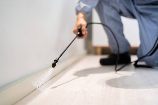 Licensed Termite Control service in Nelson County County, VA - Nex Pest Control