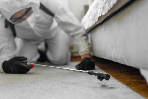 Professional Termite Control technician working in Nelson County County, VA